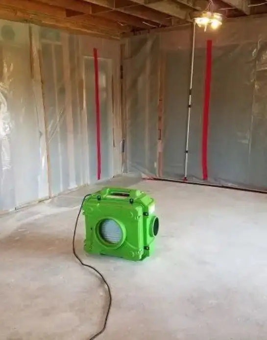 Mold Removal & Remediation home banner